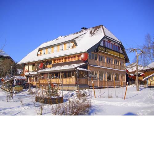 Cozy Apartment in Bernau im Schwarzwald near Ski Area