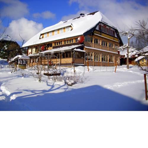 Beautiful Apartment in Bernau im Schwarzwald with Terrace