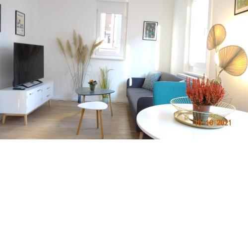 Apartment Weberstrasse