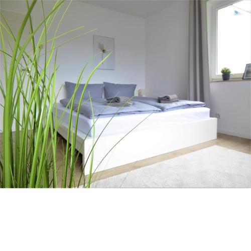 Apartment Winterberg Bike & Ski Lounge