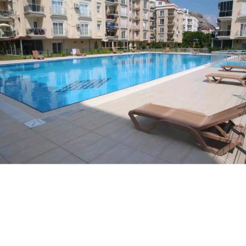 Apartment with semi Olympic size pool