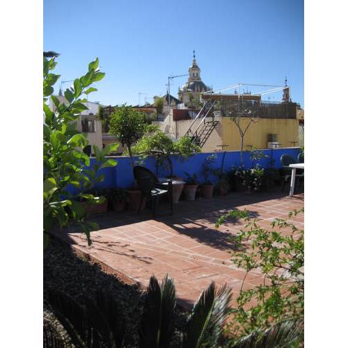 Apartment with terrace in historic center