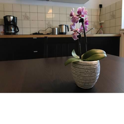 Apartmenthaus Marten