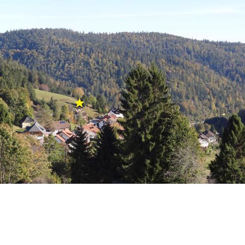 Apartments Amalia - mit WLAN und Sky in bester Lage