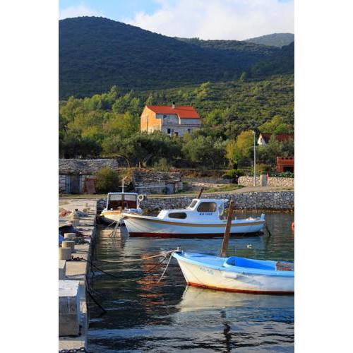 Apartments by the sea Kneza, Korcula - 9164