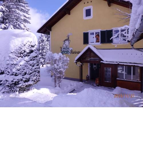 Apartments Haus Steinbock