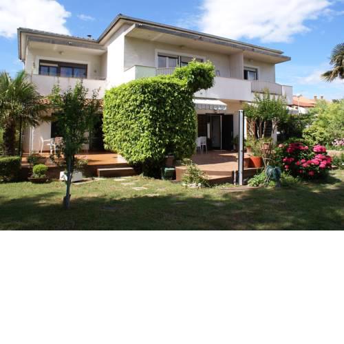 Apartments in Krk/Insel Krk 14463