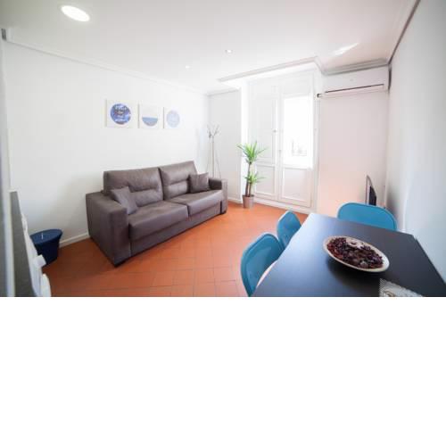 Apartments Madrid Plaza Mayor-Cava baja