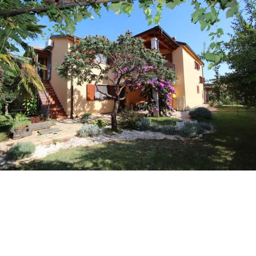 Apartments Malusa