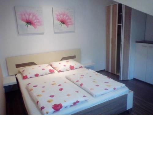Apartments Martic Janja