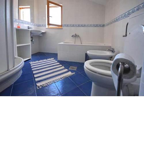 Apartments Miodrag