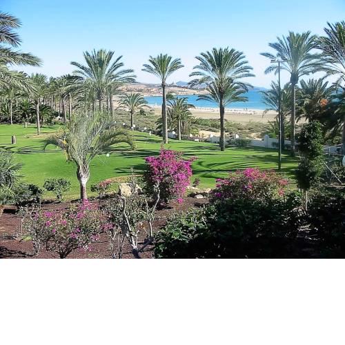 Apartments near the beach, with terrace and WIFI