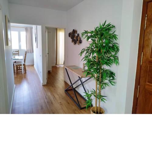 Apartments Vegueta Suite