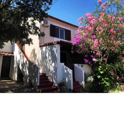 Apartments with a parking space Artatore, Losinj - 17591
