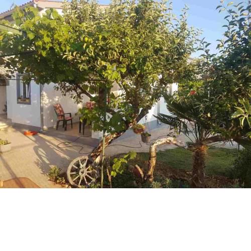 Apartments with a parking space Valbandon, Fazana - 15225