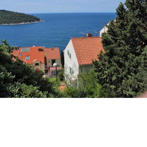 Apartments with WiFi Dubrovnik - 8821
