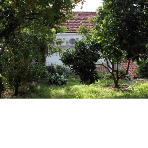 Apartments with WiFi Trsteno, Dubrovnik - 4746