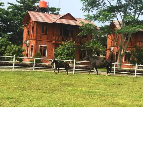 APM Equestrian Resort