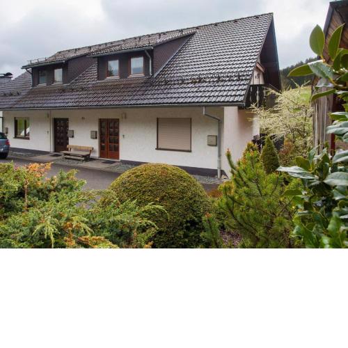 Appartement - In der Stammecke 21 Niedersfeld Winterberg 'Ferienwohnung Wiesenhang'
