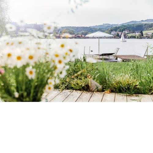 Appartement am See