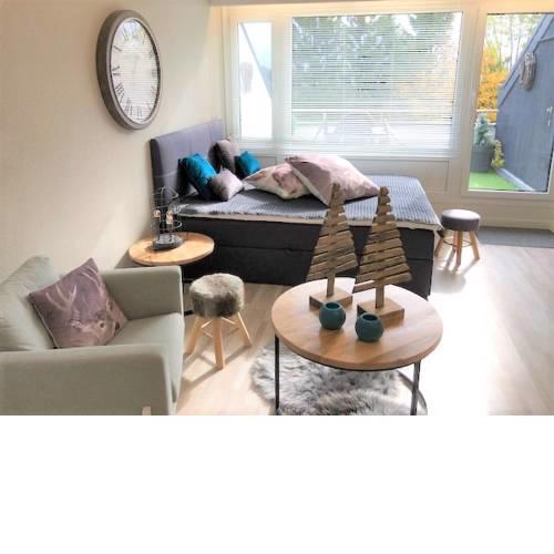 Appartement Am Waltenberg Winterberg