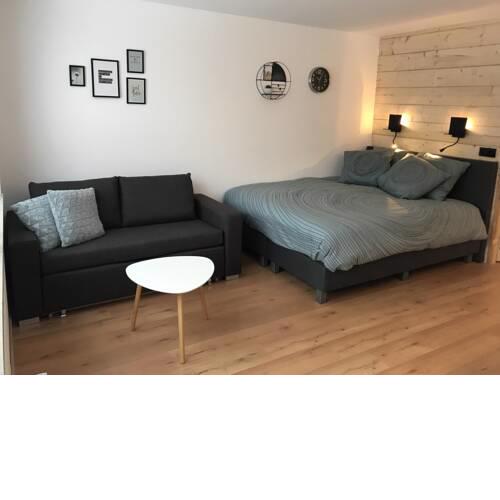 Appartement Familie Willems Winterberg Am Waltenberg