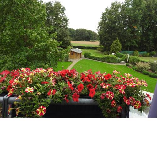 Appartement im Schlösschen Nr. 2 mit Balkon