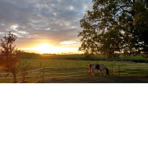 Appartement im Stall "Lune River Ranch"