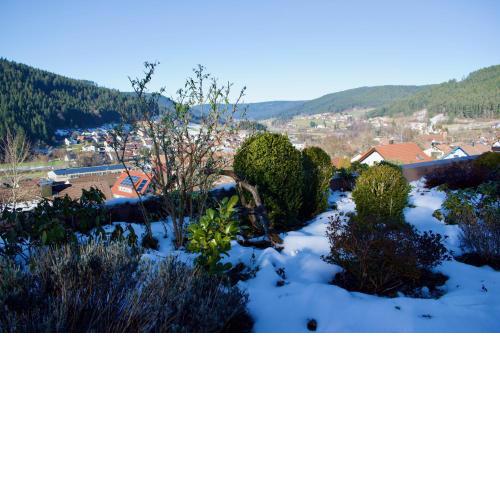 Appartement mit herrlicher Aussicht übers Murgtal