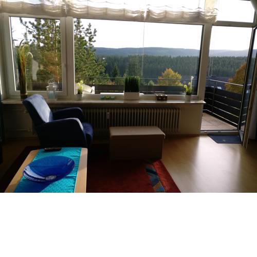 Appartement mit Südbalkon und Feldbergblick in Kappel