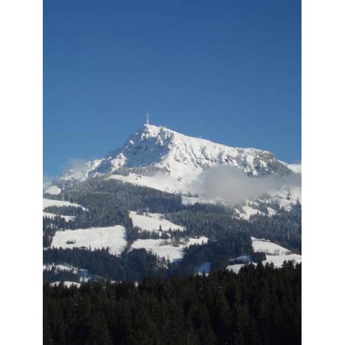Appartement Pircher
