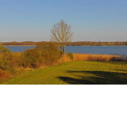 Appartement Seerose