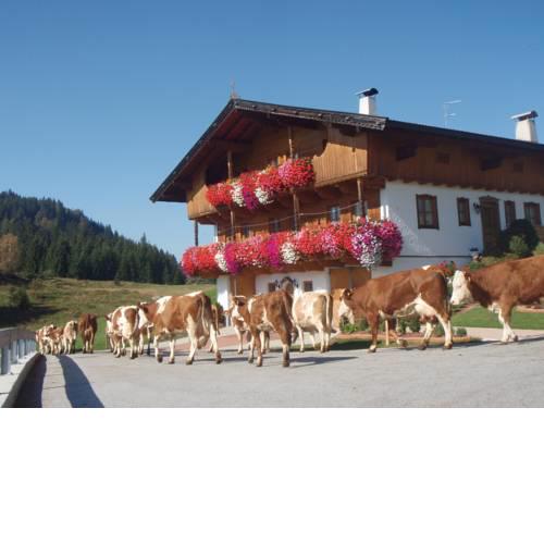 Appartement Sonnrast