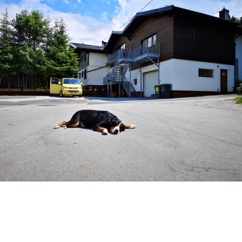 Appartement Tyrol