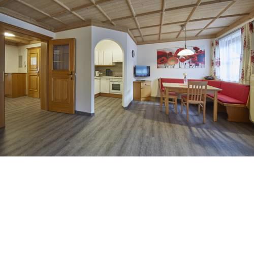 Appartements Living Saalbach by HolidayFlats24