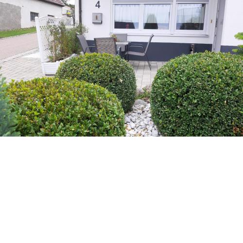 Appartements mit Terrasse in Heroldstatt