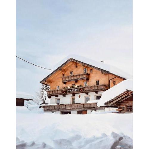 Appartements Waldruhe