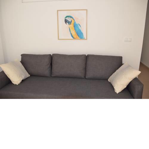 Apts ARA with pool in the english zone