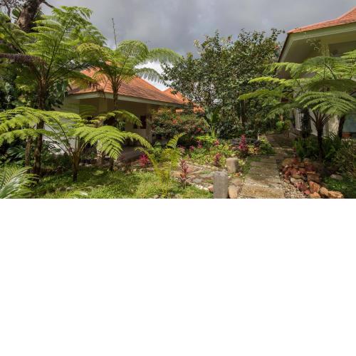 Ara Garden Inn, Accommodation, Yoga studio & Spa