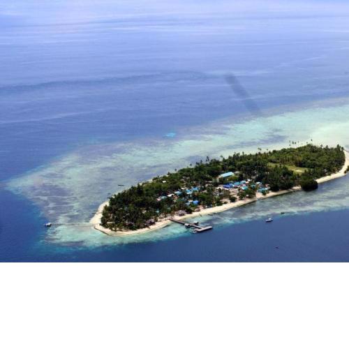 Arborek Homestay