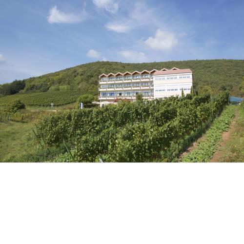 Arens Hotel 327mNN