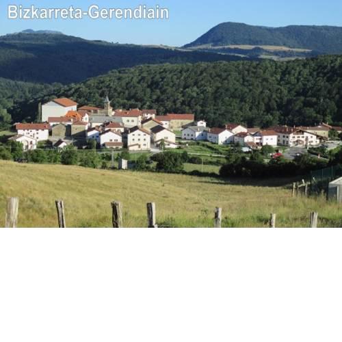 Argizarienea
