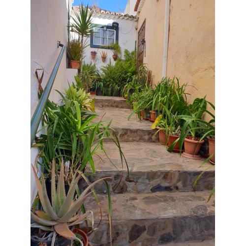 Argual Apartments