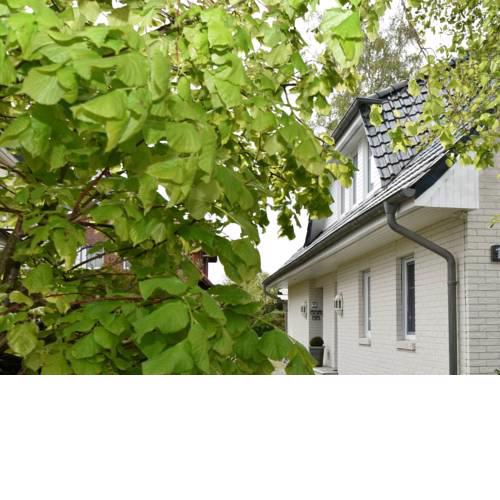 Cozy Apartment in Zingst Germany with Garden