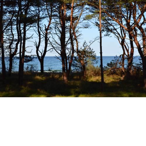 Arkona-Meeresblick am Prorer Wiek