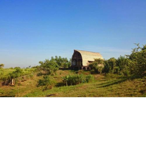 Armadillow's Burrow. Hilltop house with ocean view