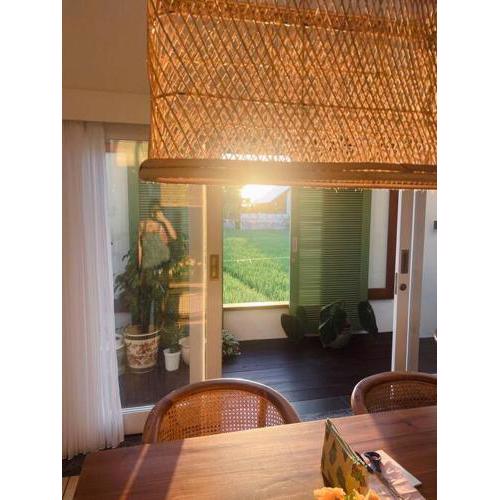 Artist's Home by a Paddy Field