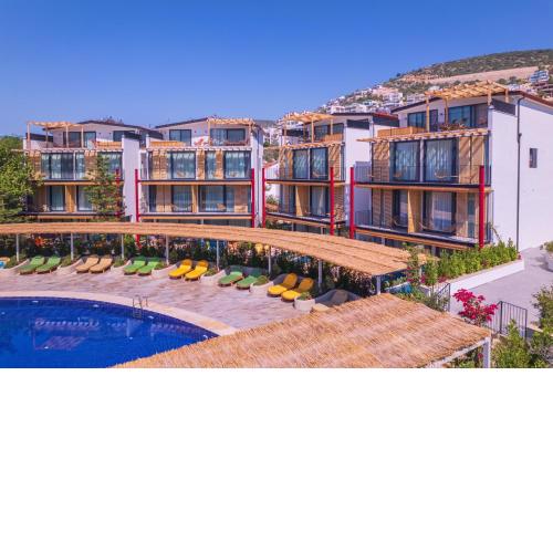 Asfiya Loft