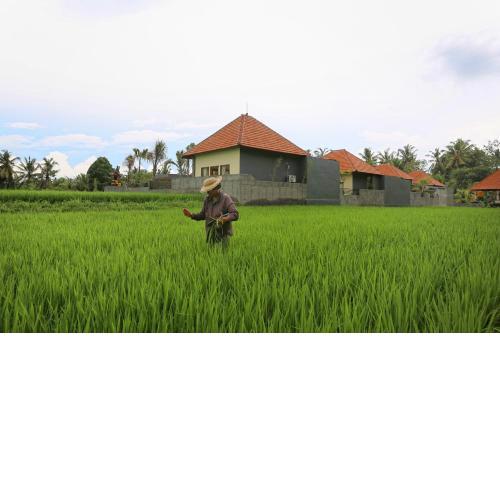 Asri Sari Villa Ubud