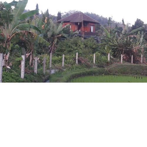 Astana Swaha Estate